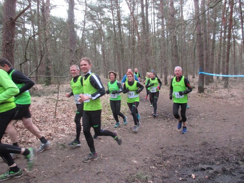 Bosloop Brecht - 05